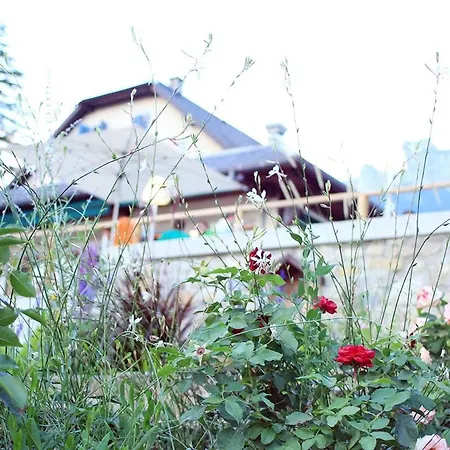 La Des Fleurs